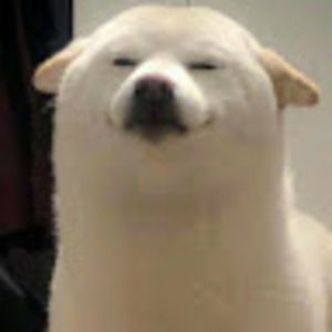 Meet your Posher, Joey